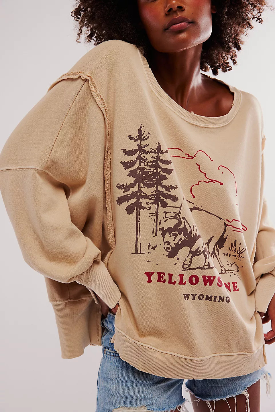 Free People We The Free Graphic Camden Pullover - YELLOWSTONE BISON Save On Inspired Styles